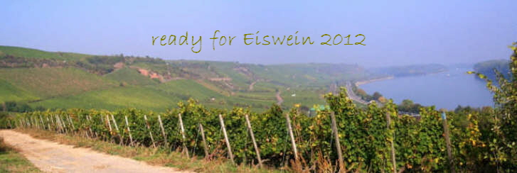 ready for Eiswein 2012